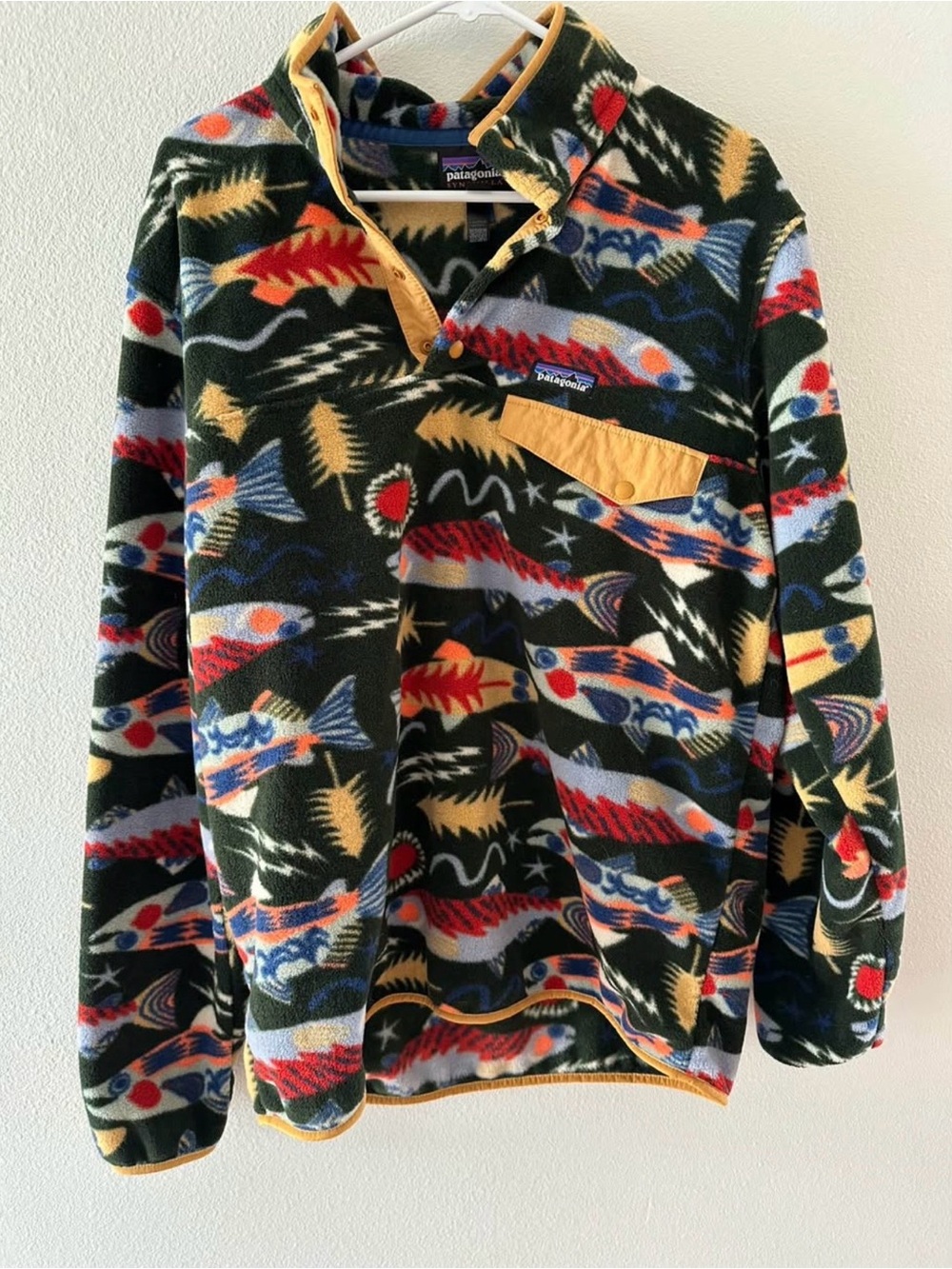 SALMON ENERGY Patagonia Printed Synchilla Fleece Pullover Men’s L BNWOT
